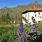 14 Salvia pratensis _Salvia dei prati_ con vista sulle case di Tessi e verso il Monte Zucco.JPG