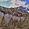 29 Al Monte Campo Crocus vernus bianchi e violetti con vista su Corno Branchino_Cornsa Piana e  Pizzo Arera tra le nuvole.JPG