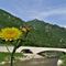 01 Il ponte sul Brembo da poco aperto della Sanpellegrino_spa  visto dalla ciclovia di Valle Brembana.JPG