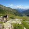33 Dori ammira la Val Grande di Tartano con vista sulle Alpi Retiche.JPG