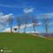 62 Sugli ampi verdi pascoli panoramici del Ronco.JPG