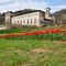 _1040328 20240325 Tulipani in valle di Astino.jpg