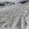 23 Le tracce nella neve non seguono il sentiero, ma salgono in direttissima...ripida ! .JPG