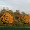 autunno-al-parco-nord-milano_40_916.jpg