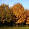 autunno-al-parco-nord-milano_41_268.jpg