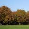 autunno-al-parco-nord-milano_5_723.jpg