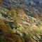 autunno-in-val-di-bares_3_432.jpg