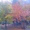 autunno-in-val-masino_6_938.jpg