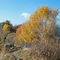 autunno-in-valle-albina_28_382.jpg