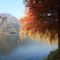 autunno-sul-lago-d'Endine_1_785.jpg