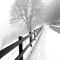 bruma-e-neve-sui-colli-di-san-fermo_1_227.jpg
