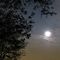 Luna luminosa nel cielo di Pognano...