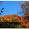 colori-di-autunno_56_469.jpg