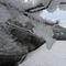 ghiaccio-e-neve-nella valle del gionco             -valle-del-ginco_1_377.jpg