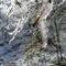 ghiaccio-e-neve-nella-valle-del-ginco_5_067.jpg