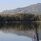 Lago Montorfano, sullo sfondo Brunate_1_686.jpg