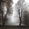 immagina-colori-nebbia-pioggia-e_39_779.jpg