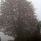 immagina-colori-nebbia-pioggia-e_9_114.jpg
