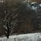 inverno-nella-valle-del-curone_9_753.jpg