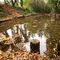 L'acqua nei fontanili a Pognano resiste in autunno...