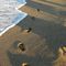 Impronte sulla sabbia a Giardini Naxos...