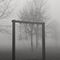 nebbia-al-parco-di-san-rocco_8_184.jpg