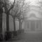 nebbia-al-parco-di-san-rocco_9_090.jpg
