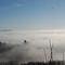 nebbia-sul-colle_5_455.jpg