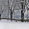 nevicata-2-parte_49_733.jpg