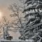 nevicata-in-citta-alta-2-2-2012-1-p_1_904.jpg