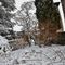 nevicata-in-citta-alta-2-2-2012-1-p_4_012.jpg
