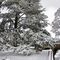 nevicata-in-citta-alta-2-2-2012-1-p_48_810.jpg