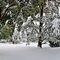 nevicata-in-citta-alta-2-2-2012-1-p_27_774.jpg