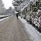 nevicata-in-citta-alta-2-2-2012-1-p_11_971.jpg