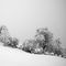 nevicava-in-val-del-riso_1_191.jpg