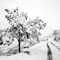 nevicava-in-val-del-riso_4_348.jpg