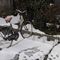 Anche con la neve si va in bicicletta_4_770.jpg