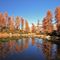 Colori d' autunno al Lago del Grillo...
