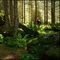 bellissima foresta di Campovecchio,canon 7Dob17-85+polarizzatore+cavalletto