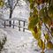 prima-neve-taleggio-di-cusio_43_516.jpg